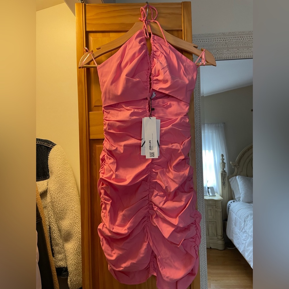 Zara Pink Ruched Dress